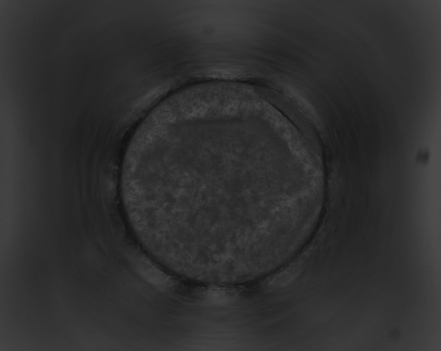 X0000091880305200710031127