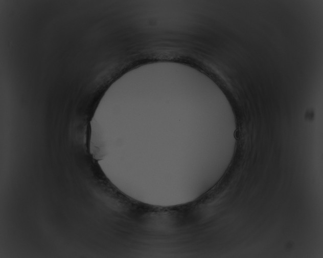 X0000091880307200710031127