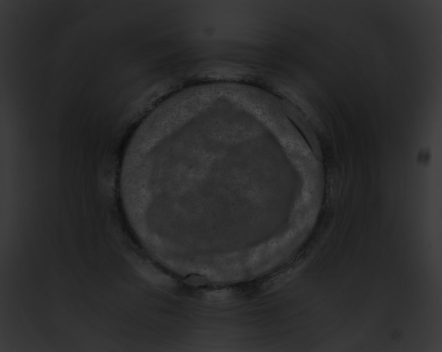 X0000091880309200710031127