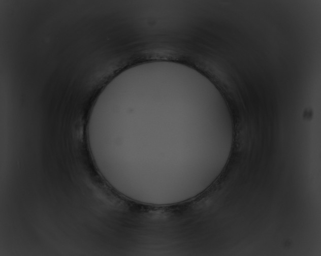 X0000091880310200710031127