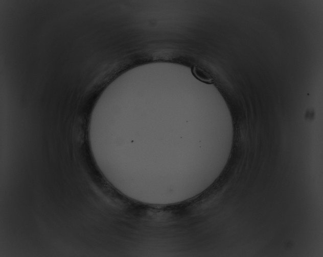 X0000091880311200710031127