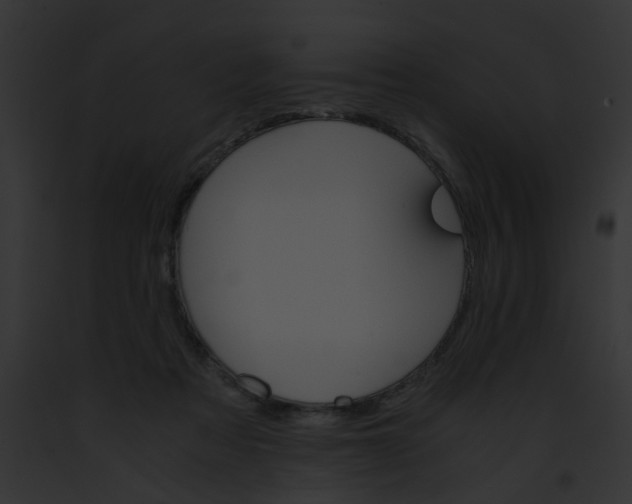 X0000091880313200710031127