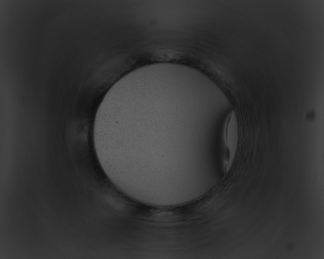 X0000091880315200710031127