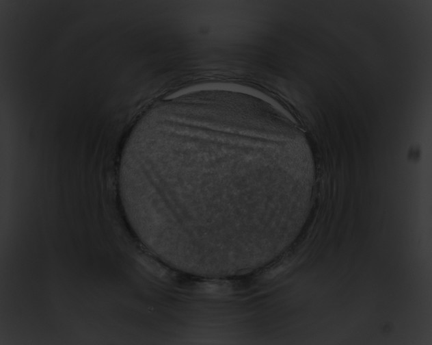 X0000091880317200710031126