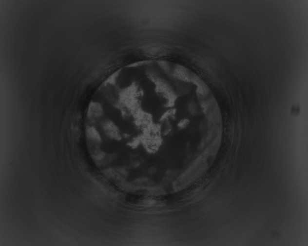 X0000091880319200710031126