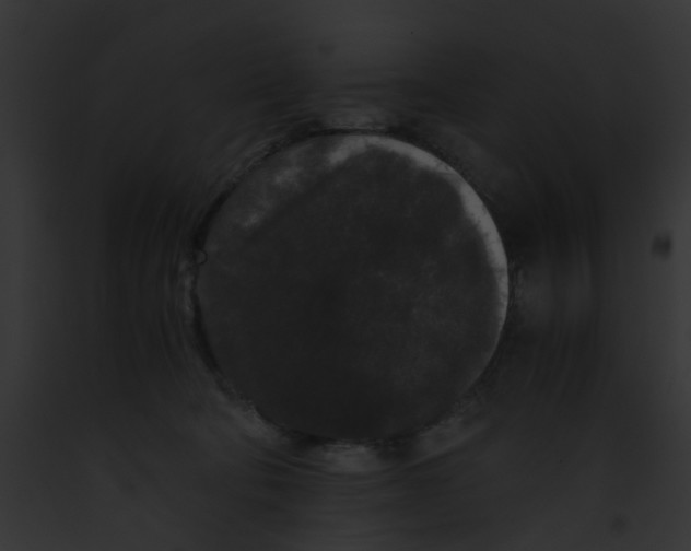 X0000091880322200710031126