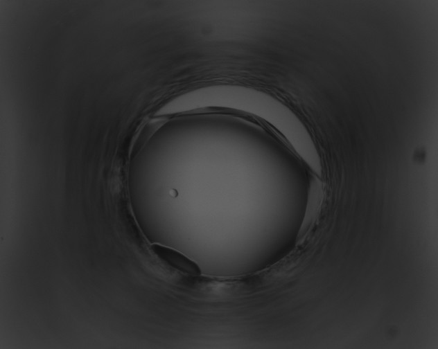 X0000091880323200710031126