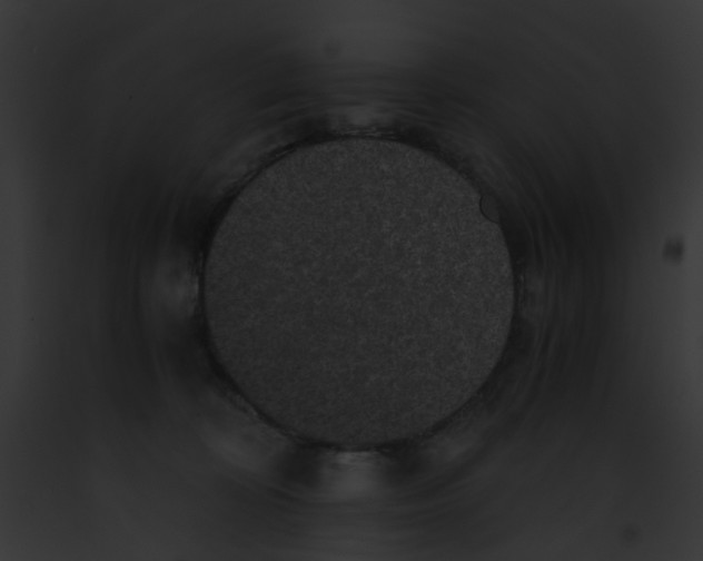 X0000091880324200710031126