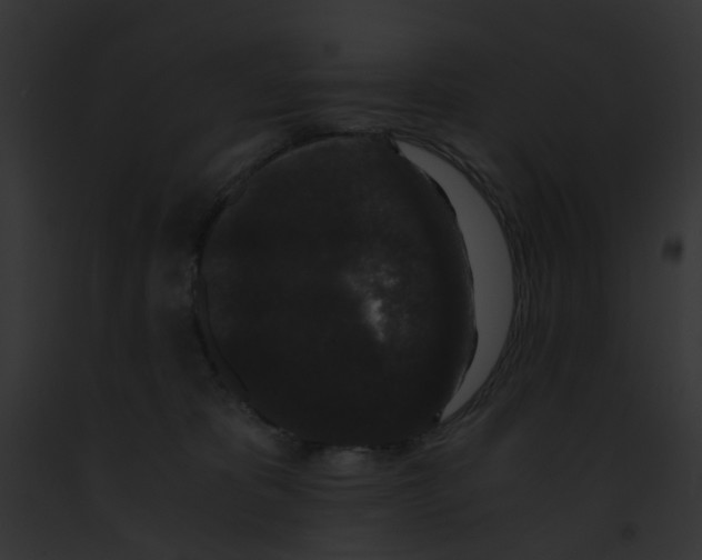 X0000091880325200710031126