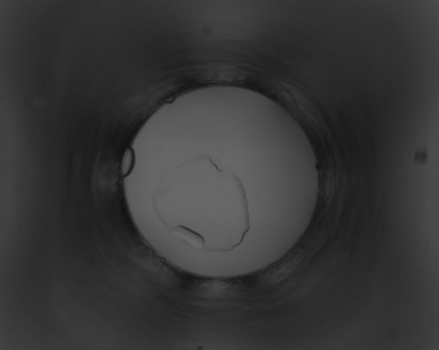 X0000091880326200710031126