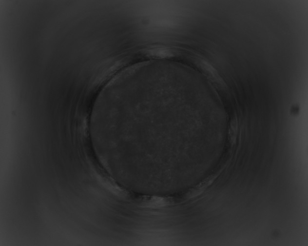 X0000091880330200710031126