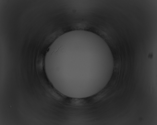 X0000091880334200710031126