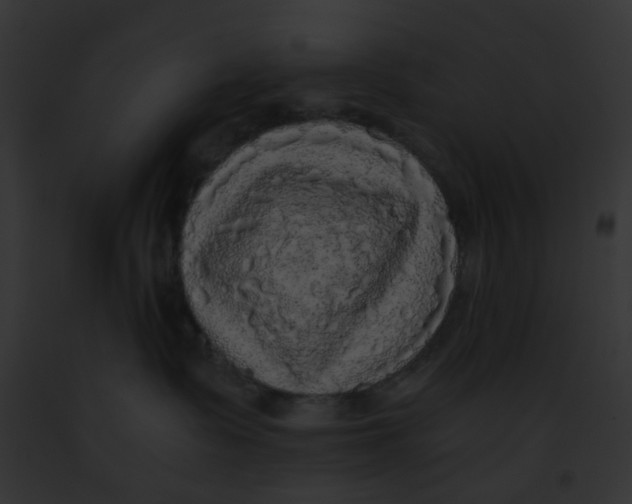 X0000091880335200710031126