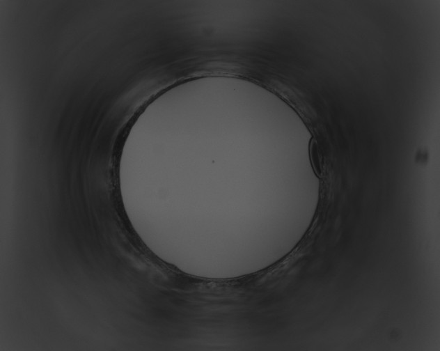 X0000091880338200710031126