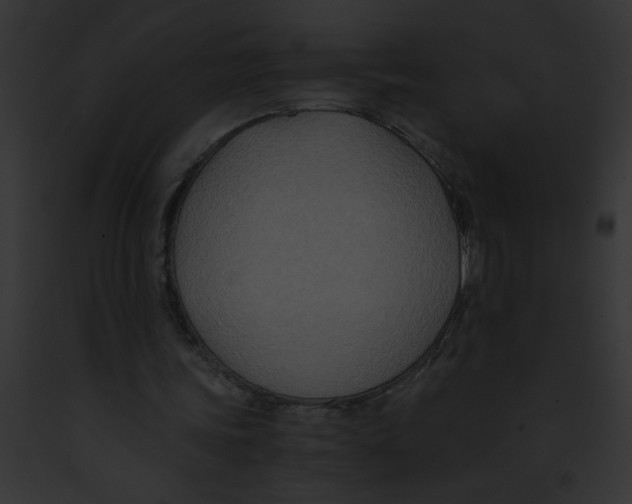 X0000091880339200710031126