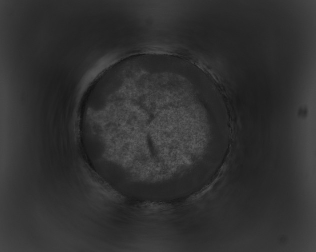 X0000091880343200710031126