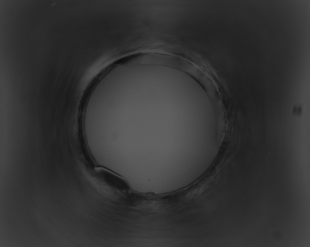 X0000091880344200710031126