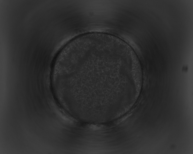 X0000091880346200710031126