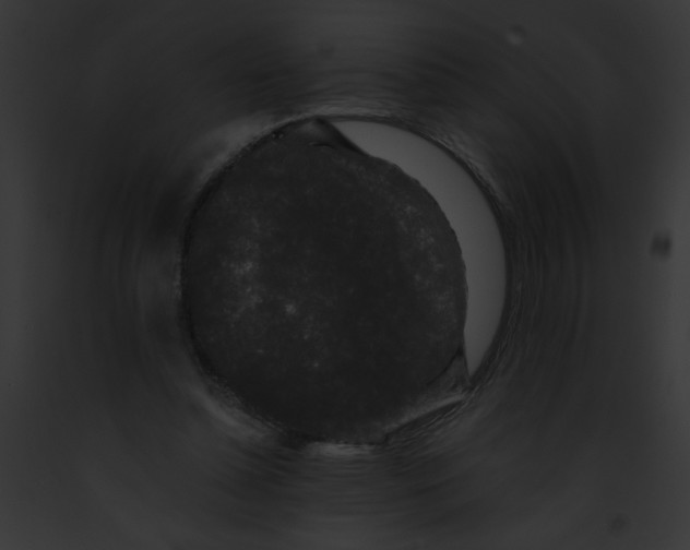 X0000091880348200710031126