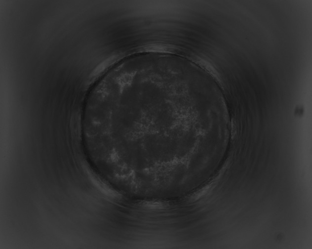 X0000091880349200710031126