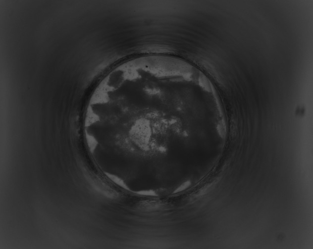 X0000091880351200710031126