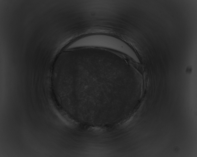 X0000091880352200710031126