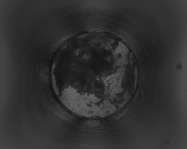 X0000091880353200710031126