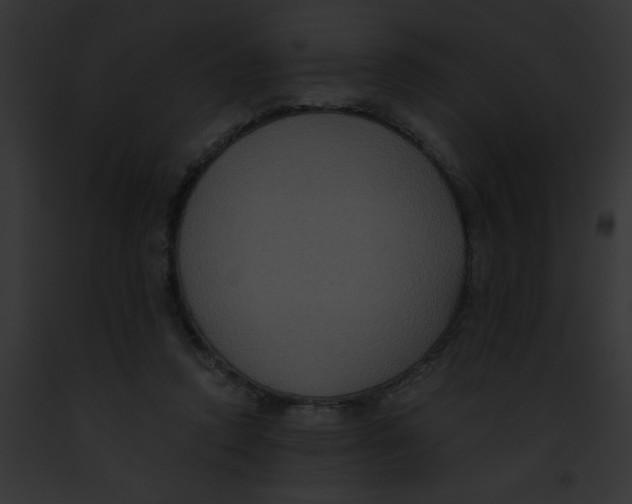 X0000091880354200710031126