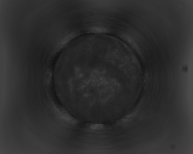 X0000091880355200710031126