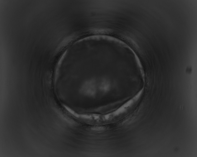 X0000091880357200710031126