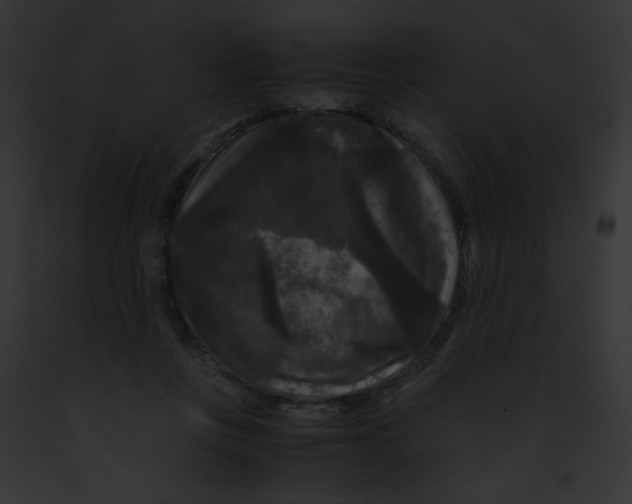 X0000091880359200710031126