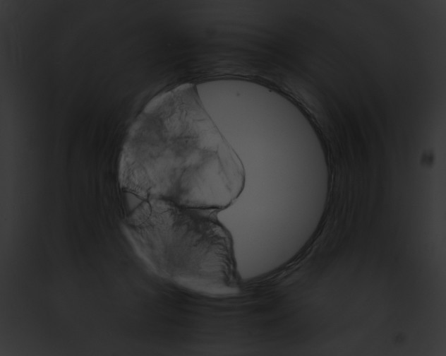 X0000091880361200710031126