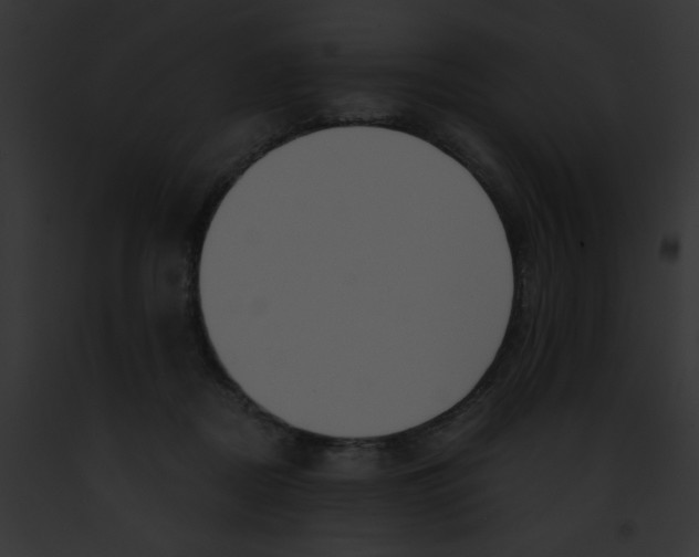 X0000091880362200710031126