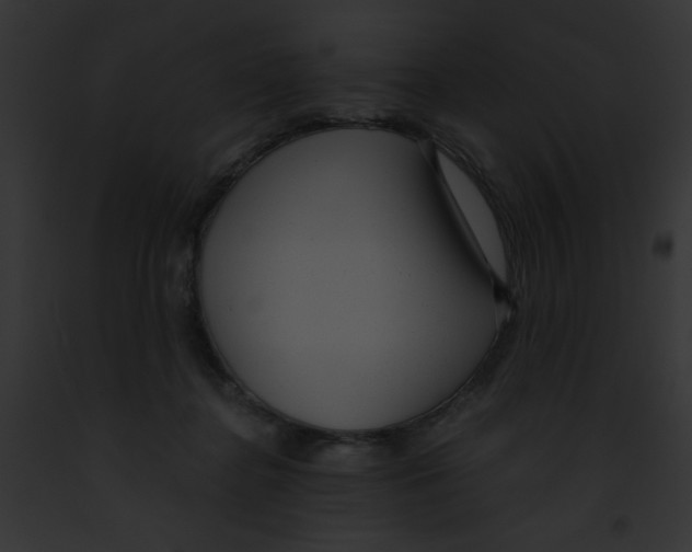 X0000091880364200710031126