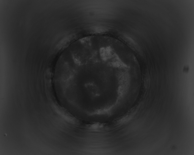 X0000091880366200710031126