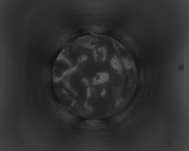 X0000091880367200710031126