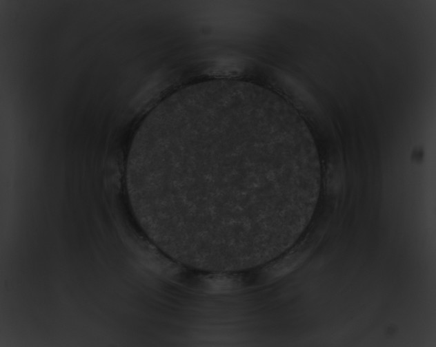 X0000091880370200710031126