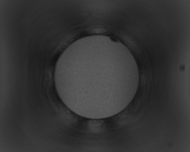 X0000091880373200710031126