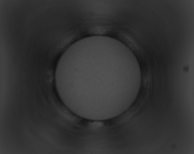 X0000091880374200710031126