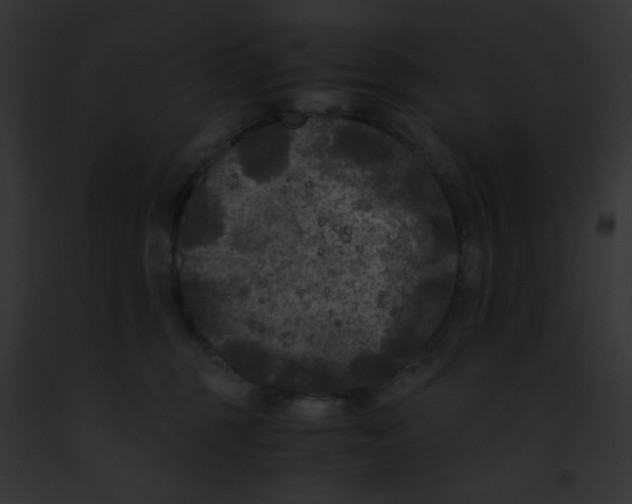 X0000091880375200710031126