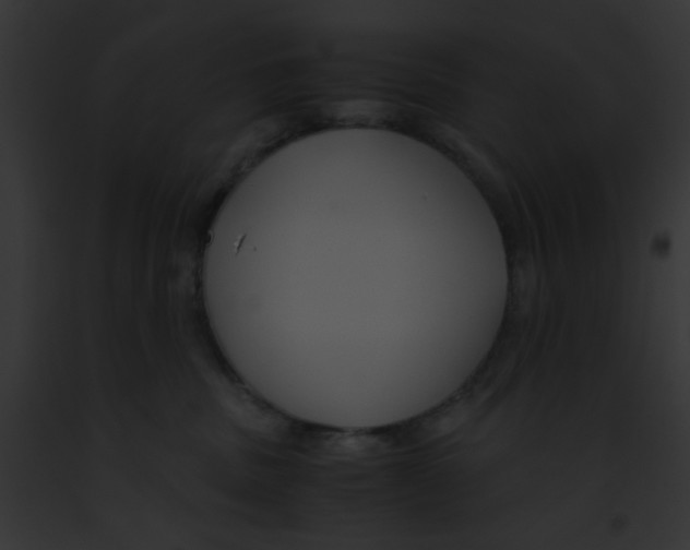 X0000091880379200710031126