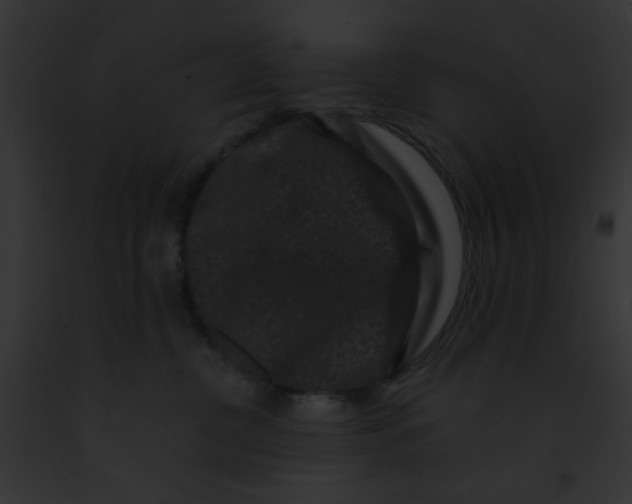 X0000091880380200710031126