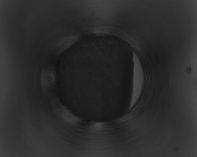 X0000091880382200710031126