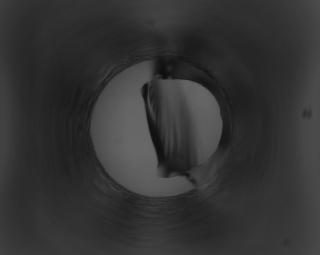 X0000091880384200710031126