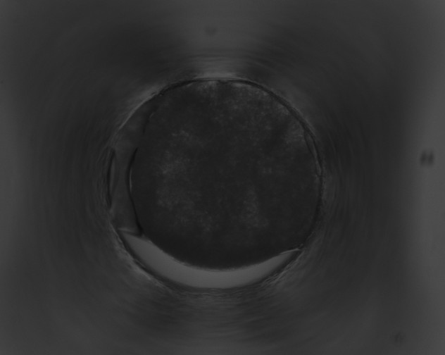 X0000091880385200710031126