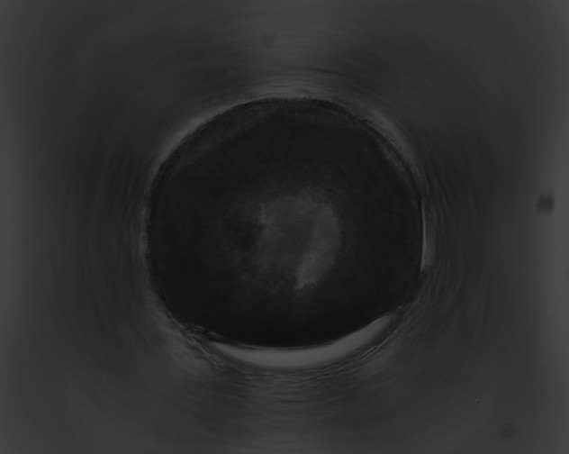 X0000091880387200710031126