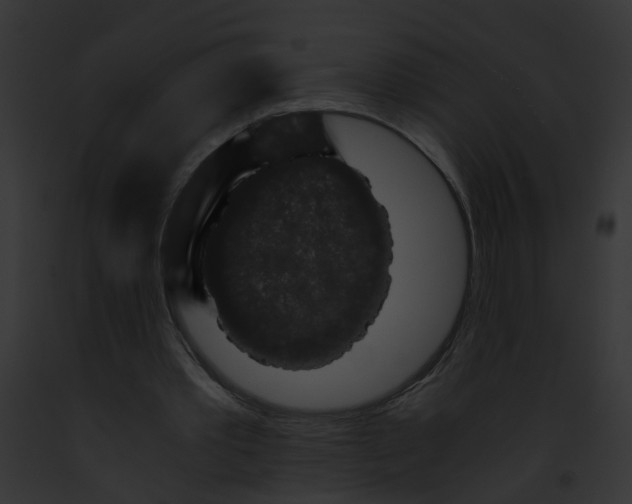 X0000091880389200710031125