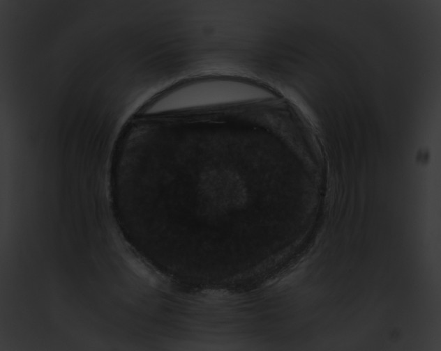 X0000091880391200710031125