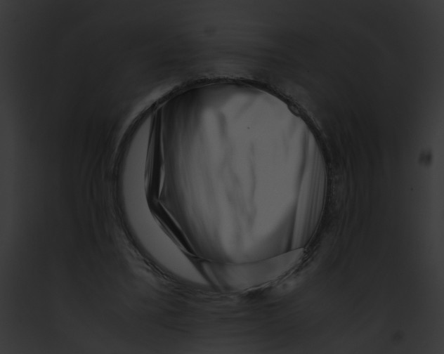 X0000091880395200710031125