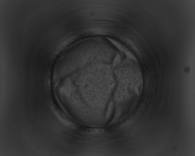 X0000091880398200710031125